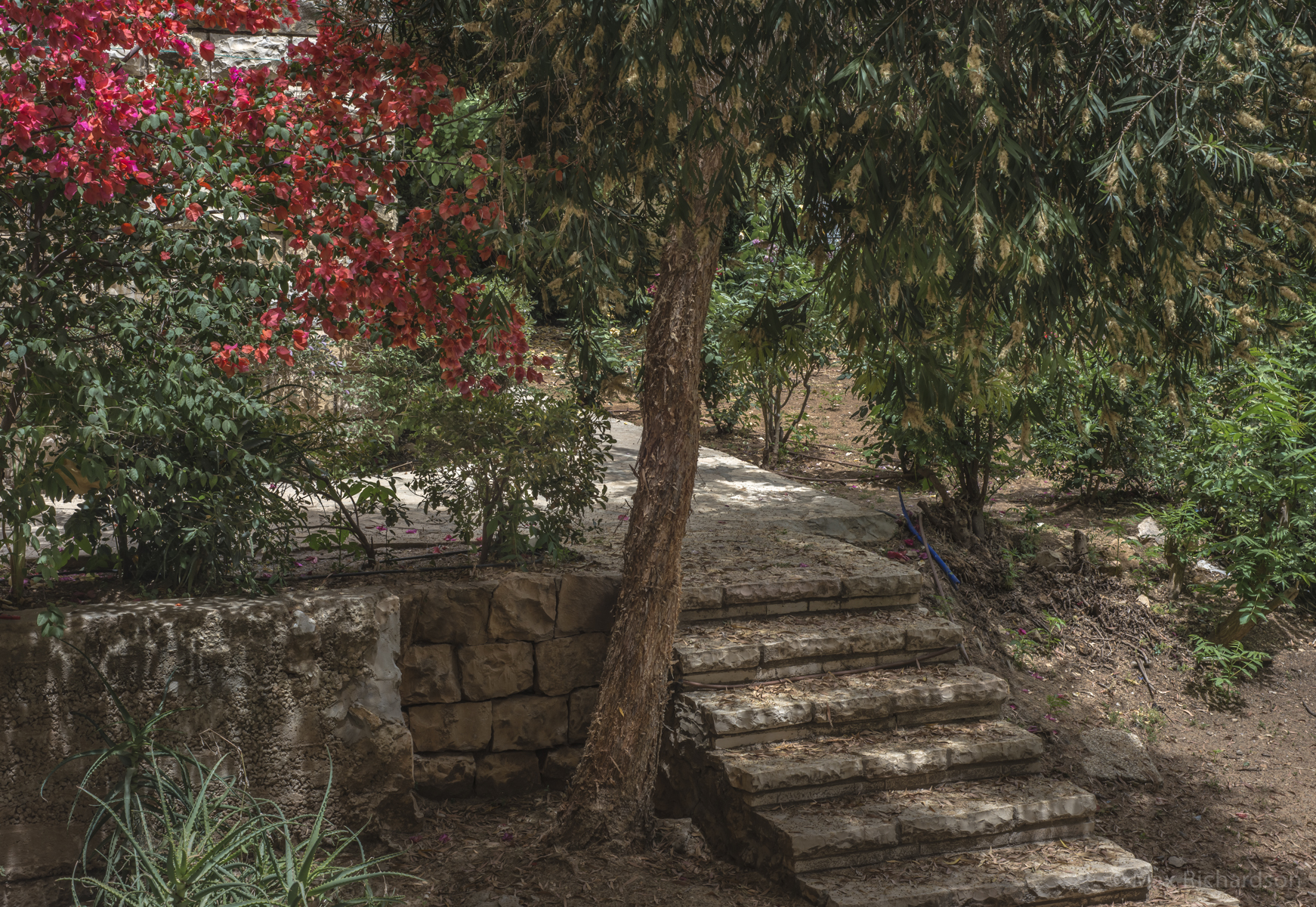 Building Garden Area